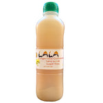 Load image into Gallery viewer, GINGEMBRE SYRUP - NO SUGAR (GINGER ROOT CONCENTRATED) 1L
